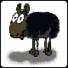 black Sheep's Avatar